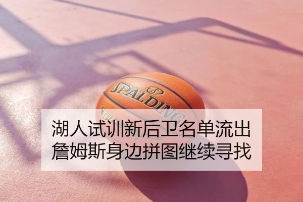 湖人试训新后卫名单流出 詹姆斯身边拼图继续寻找